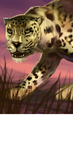 po_leopard_